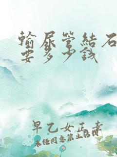 输尿管结石治疗要多少钱