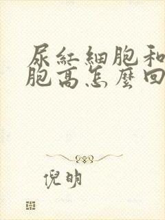 尿红细胞和白细胞高怎么回事