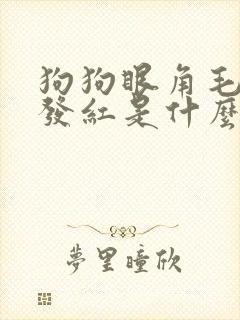 狗狗眼角毛掉毛发红是什么皮肤病