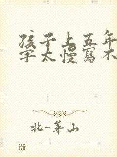 孩子上五年级写字太慢写不好怎么办