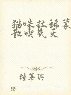 猫咪拉稀蒙脱石散吃几天