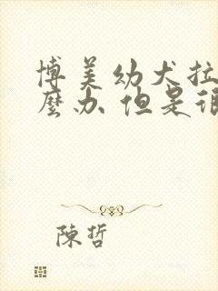 博美幼犬拉稀怎么办 但是很活泼