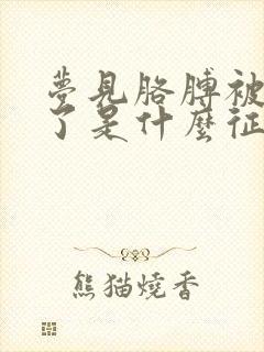 梦见胳膊被蛇咬了是什么征兆女性