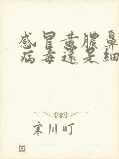 感冒黄脓鼻涕是病毒还是细菌