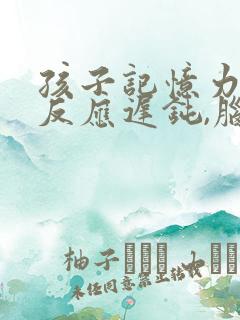 孩子记忆力差,反应迟钝,脑子昏昏沉沉