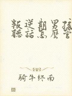 叛逆期男孩子不听话怎么管教