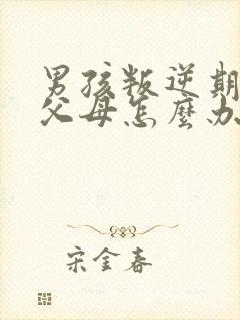 男孩叛逆期打骂父母怎么办