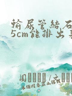 输尿管结石0.5cm能排出来吗
