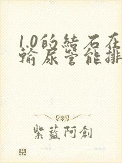 1.0的结石在输尿管能排下来吗