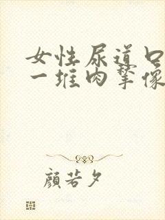 女性尿道口出现一堆肉揪像柚子粒