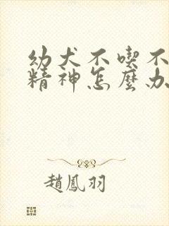 幼犬不吃不喝没精神怎么办