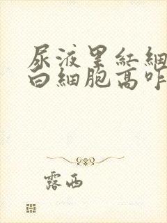 尿液里红细胞和白细胞高咋回事