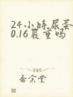 24小时尿蛋白0.16严重吗