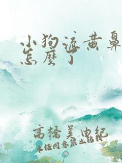 小狗流黄鼻涕是怎么了