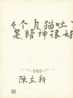 4个月猫吐了但是精神很好