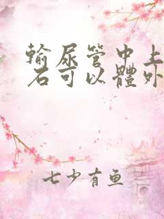 输尿管中上段结石可以体外碎石吗