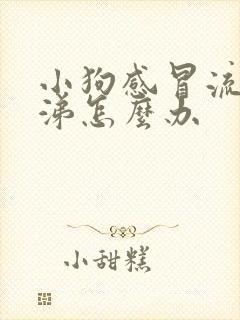 小狗感冒流脓鼻涕怎么办