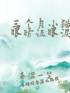 三个月小猫一只眼睛流眼泪