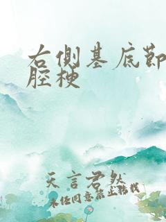 右侧基底节区脑腔梗