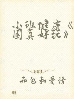 小班健康《幼儿园真好玩》教案