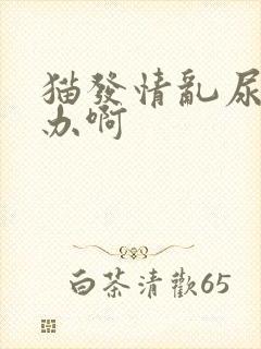 猫发情乱尿怎么办啊