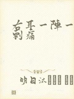 右耳一阵一阵的刺痛