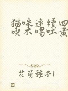 猫咪连续四天不吃不喝吐黄水