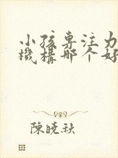 小孩专注力培训机构哪个好