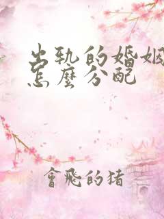 出轨的婚姻财产怎么分配