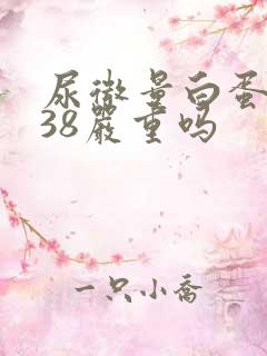 尿微量白蛋白高38严重吗