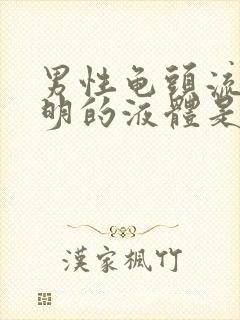 男性龟头流出透明的液体是什么