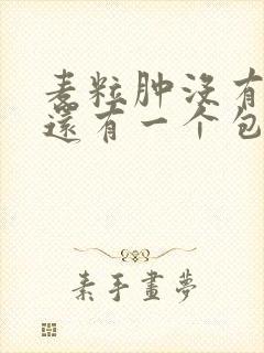 麦粒肿没有脓但还有一个包怎么办