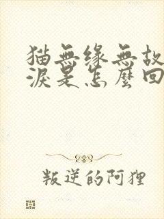 猫无缘无故流眼泪是怎么回事