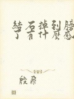 结石掉到膀胱里了有什么感觉