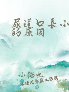 尿道口长小颗粒的原因