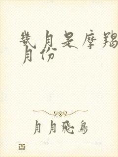 几月是摩羯座的月份