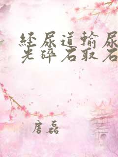 经尿道输尿管激光碎石取石术