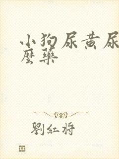 小狗尿黄尿吃什么药