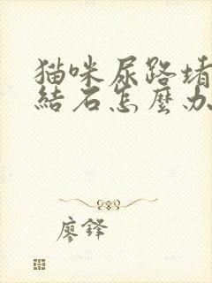 猫咪尿路堵塞尿结石怎么办