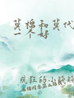 莫棉和莫代尔哪一个好