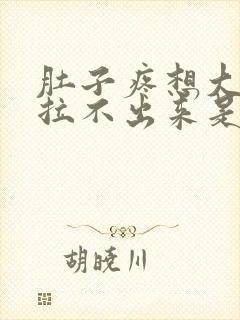 肚子疼想大便却拉不出来是怎么办