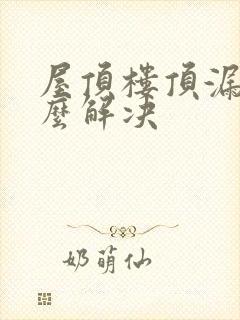 屋顶楼顶漏水怎么解决