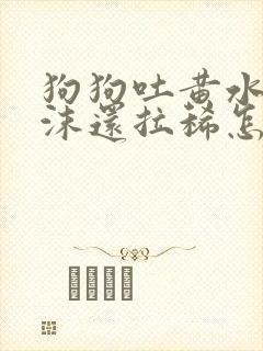 狗狗吐黄水带泡沫还拉稀怎么回事