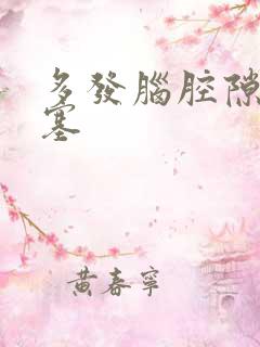 多发脑腔隙性梗塞