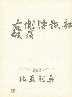 右侧腰骶部屁股酸痛