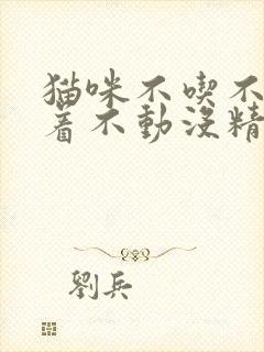 猫咪不吃不喝趴着不动没精神