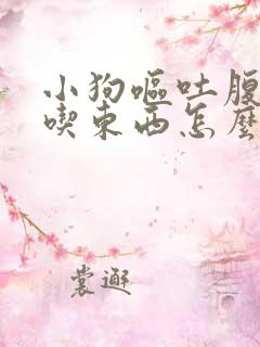 小狗呕吐腹泻不吃东西怎么办