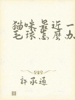 猫咪最近一直吐毛球怎么办