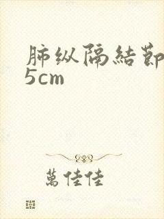 肺纵隔结节1.5cm