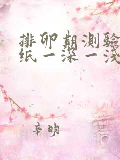 排卵期测验孕试纸一深一浅